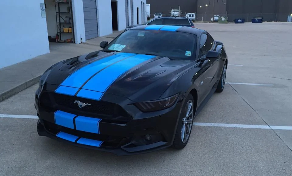 jezebel stripe front.webp