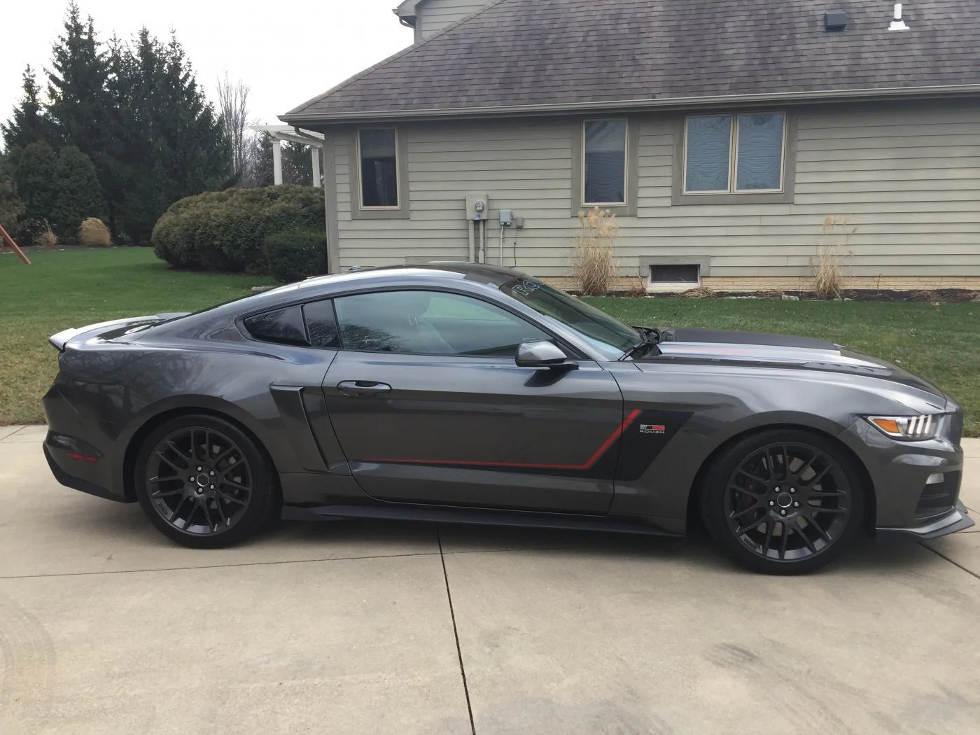 mustang2.webp