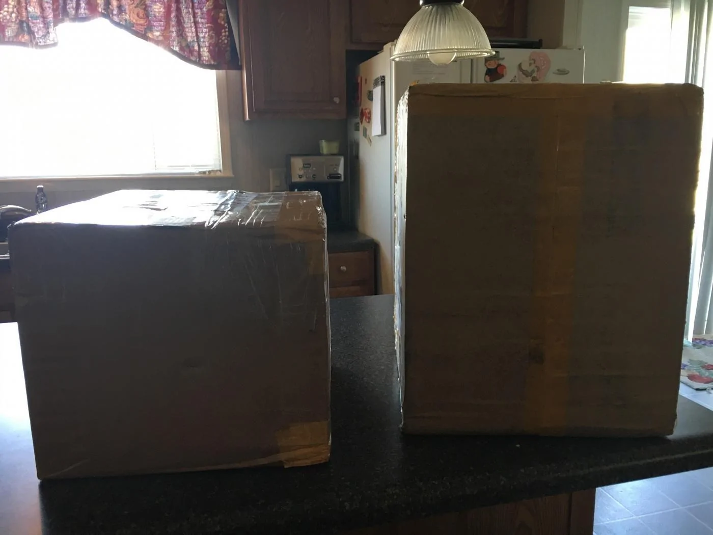 delivery.webp