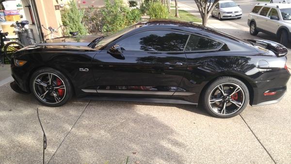 Stang4001.jpg