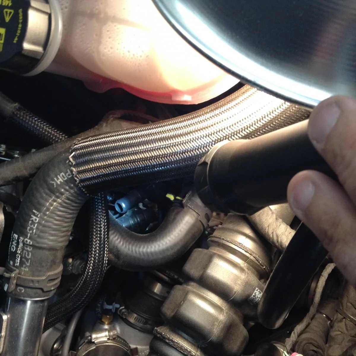 image.webp