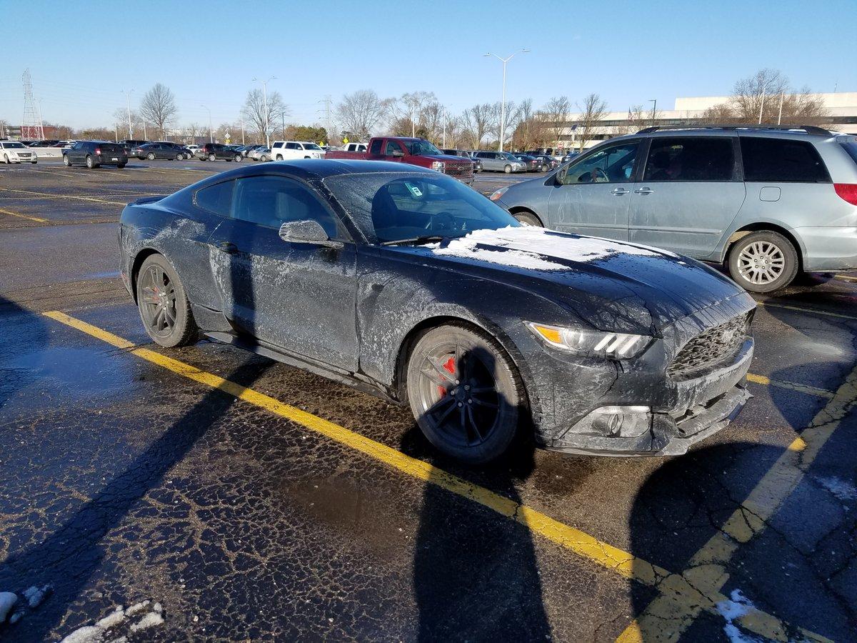 20170201_101313.jpg