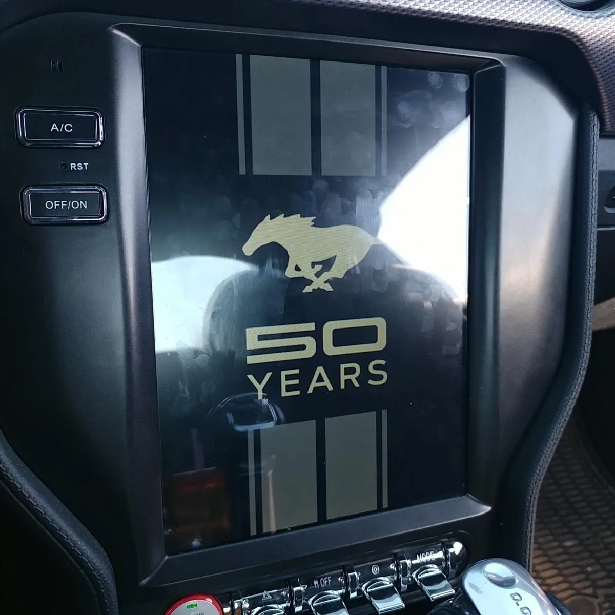 50year.webp