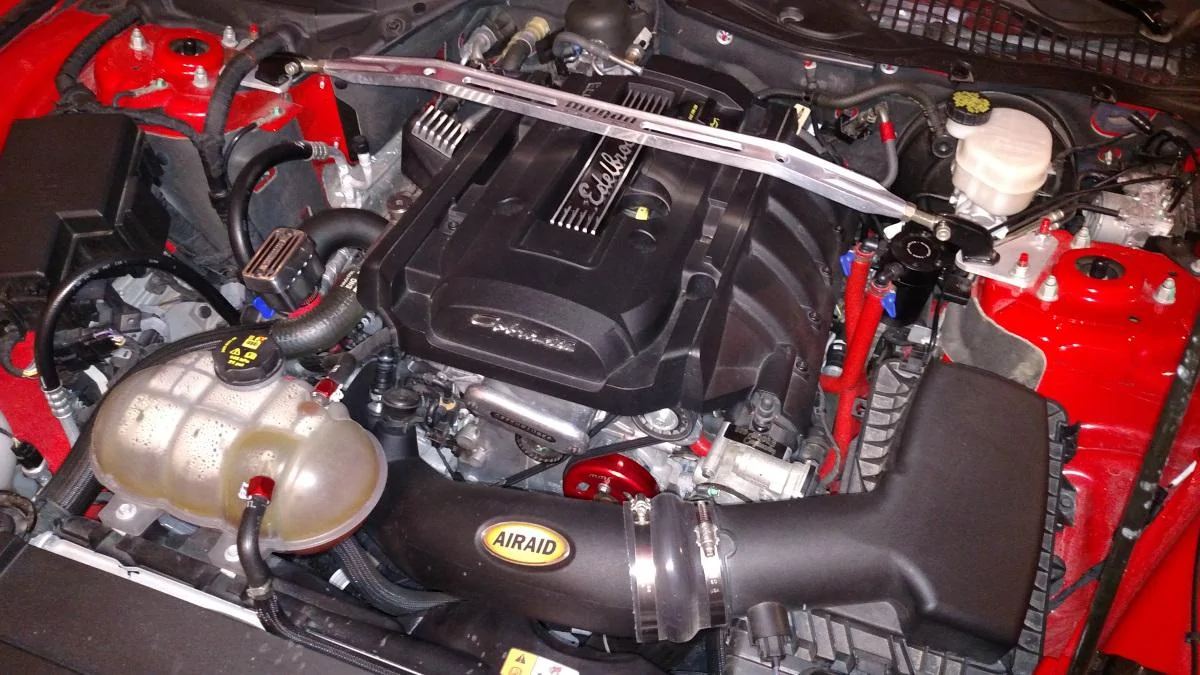 MustangEng-1.webp