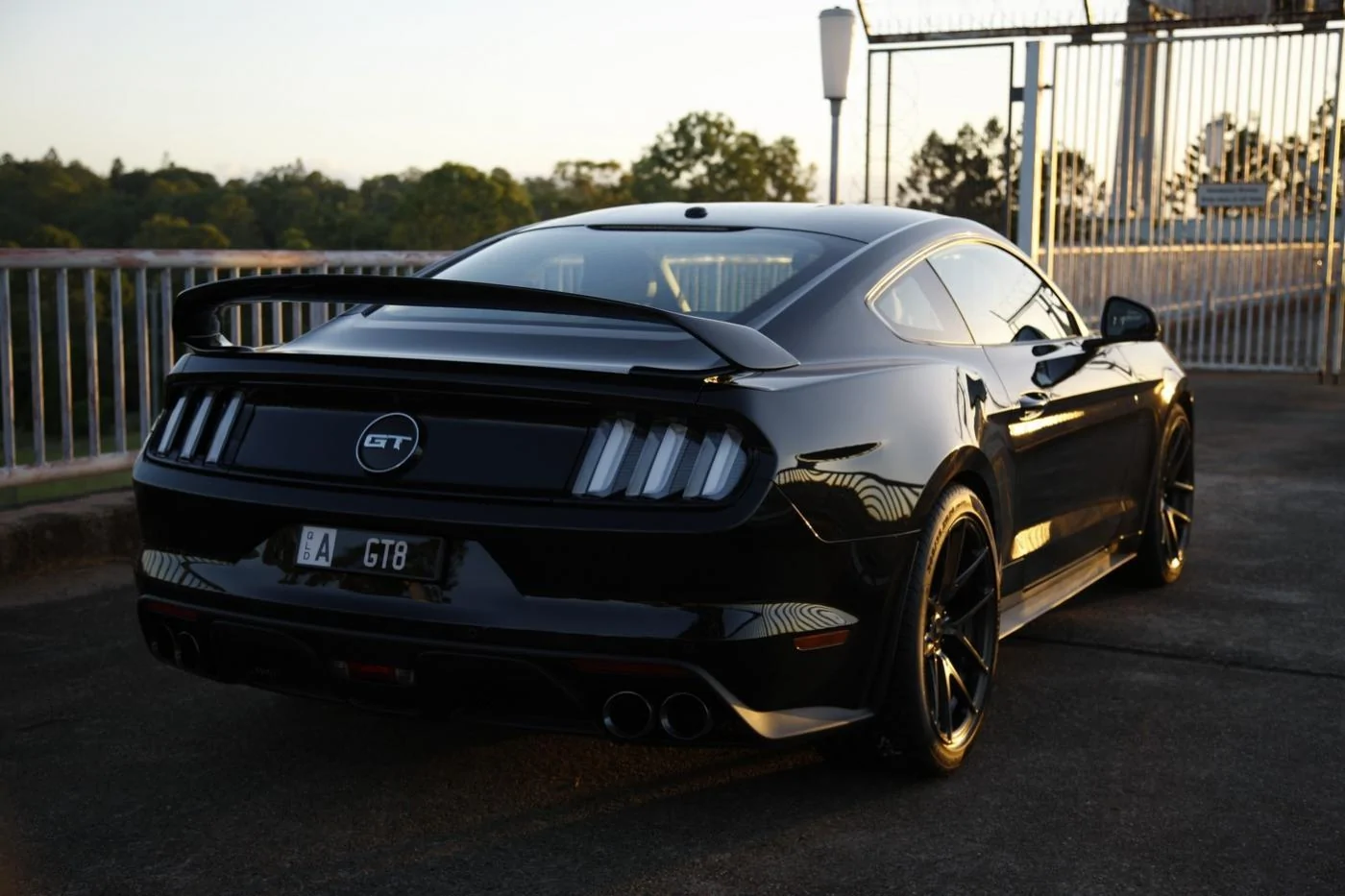 AJ Black Mustang 01.webp