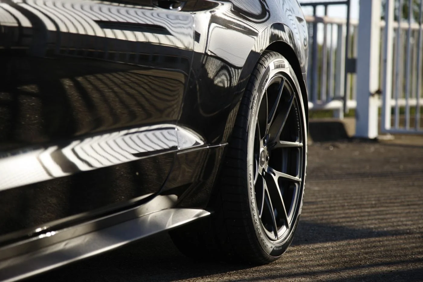 AJ Black Mustang 05.webp