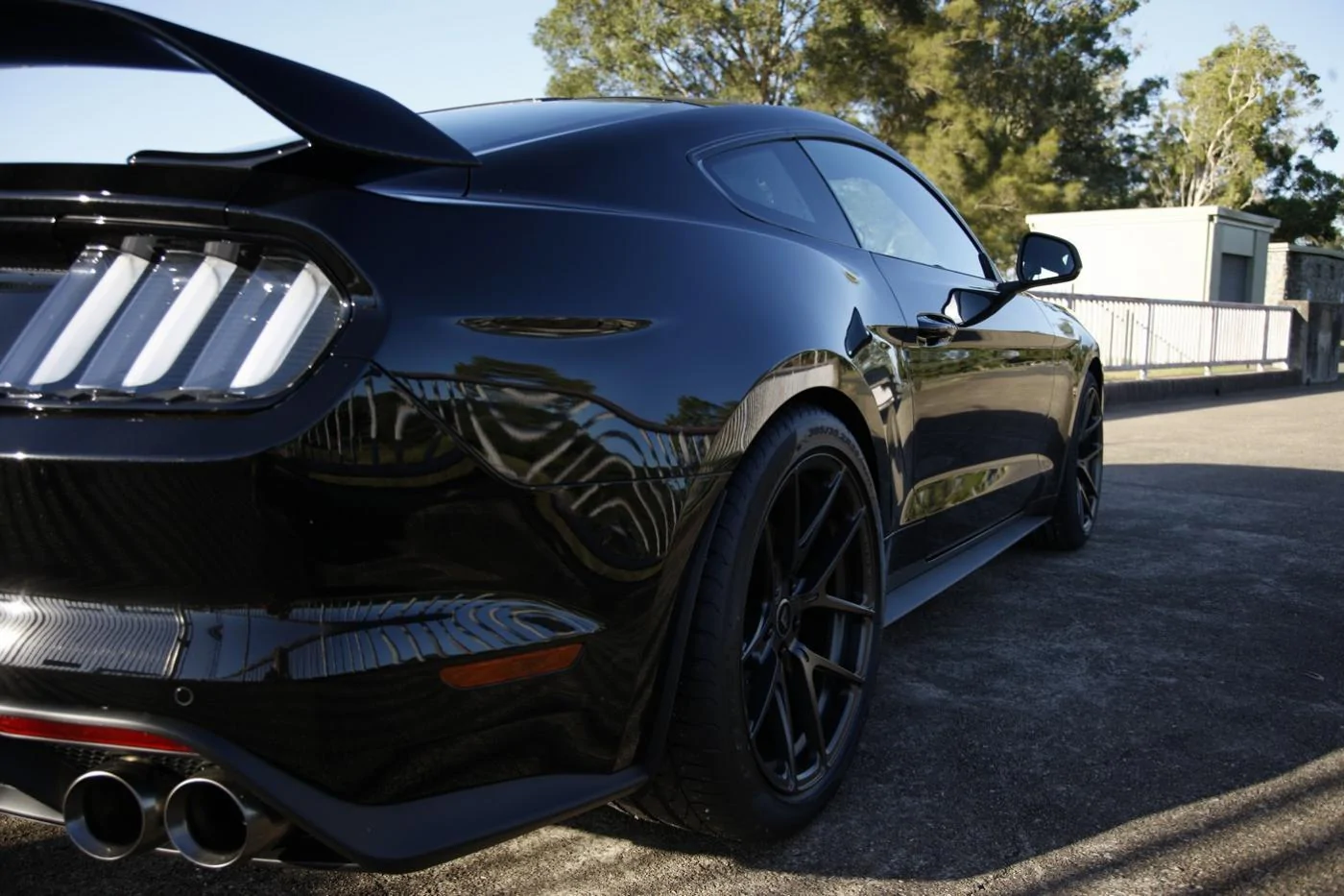 AJ Black Mustang 10.webp