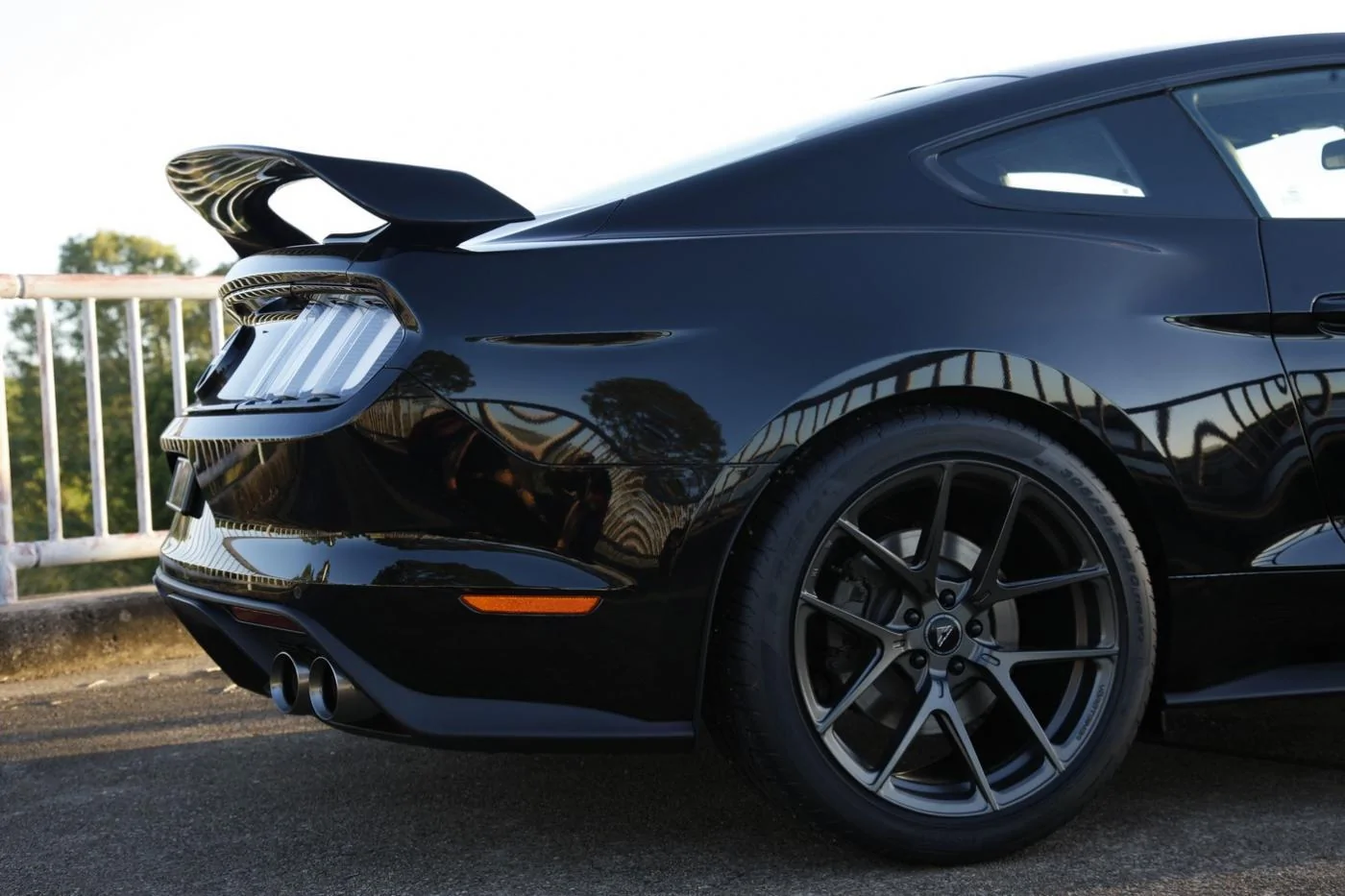 AJ Black Mustang 02.webp