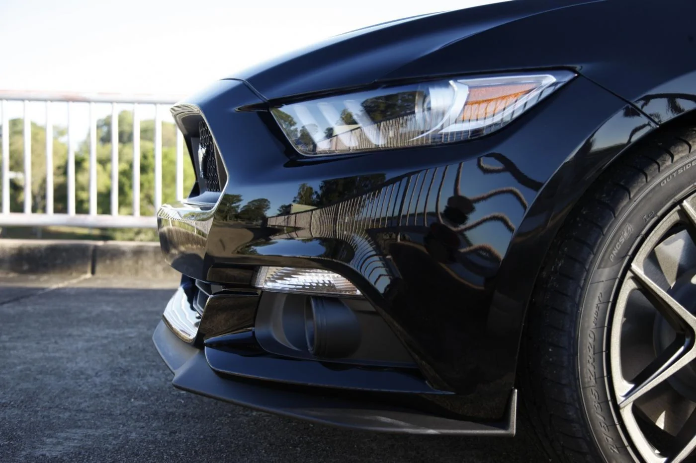 AJ Black Mustang 08.webp