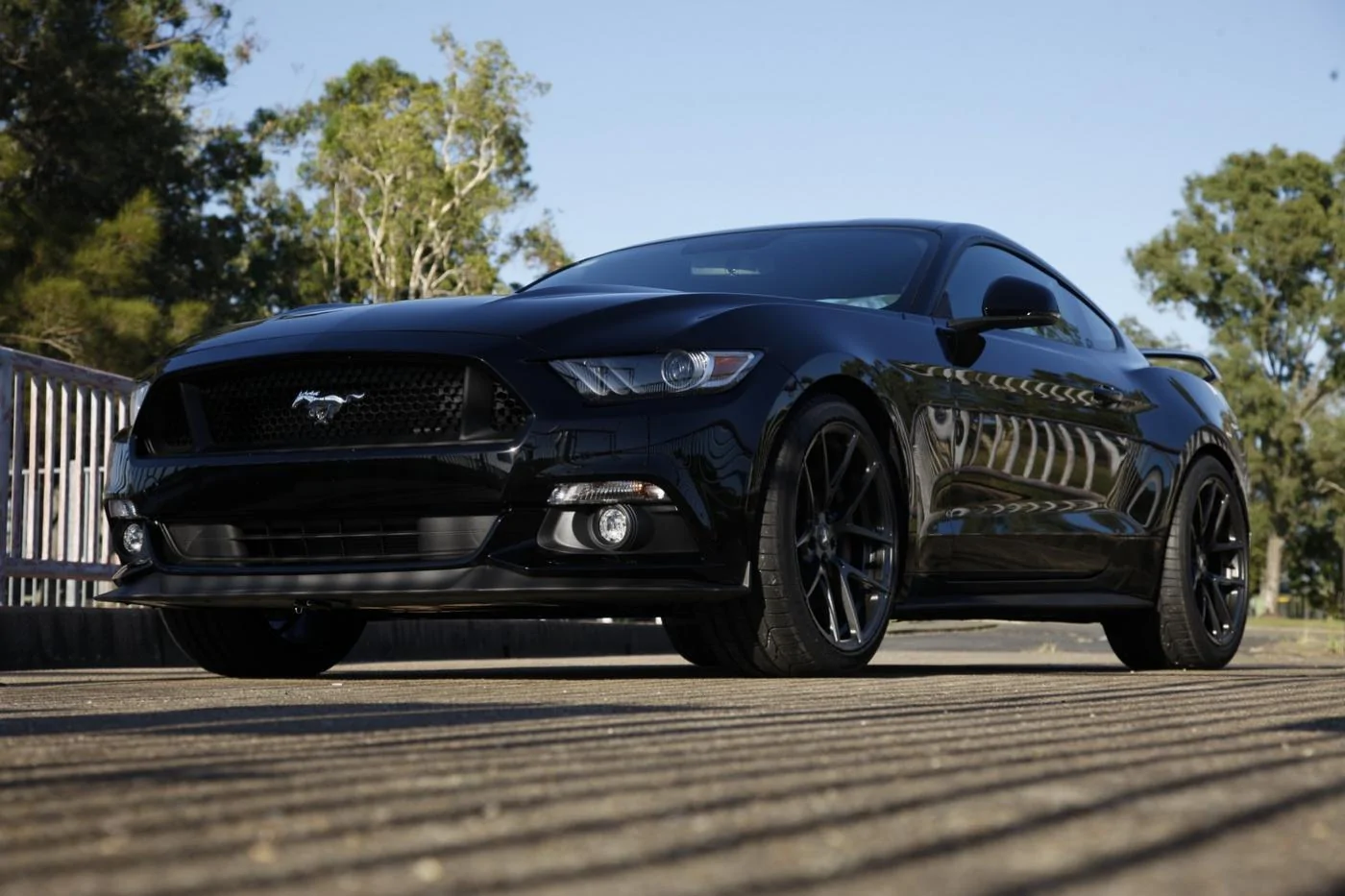 AJ Black Mustang 23.webp