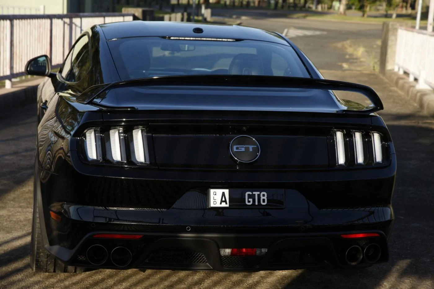 AJ Black Mustang 04.webp