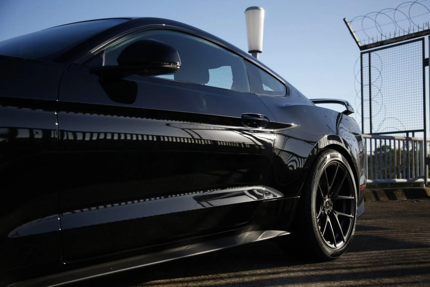 AJ Black Mustang 07.webp