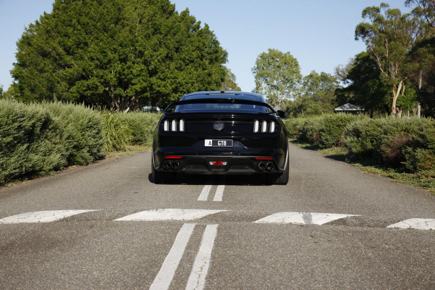 AJ Black Mustang 24.jpg