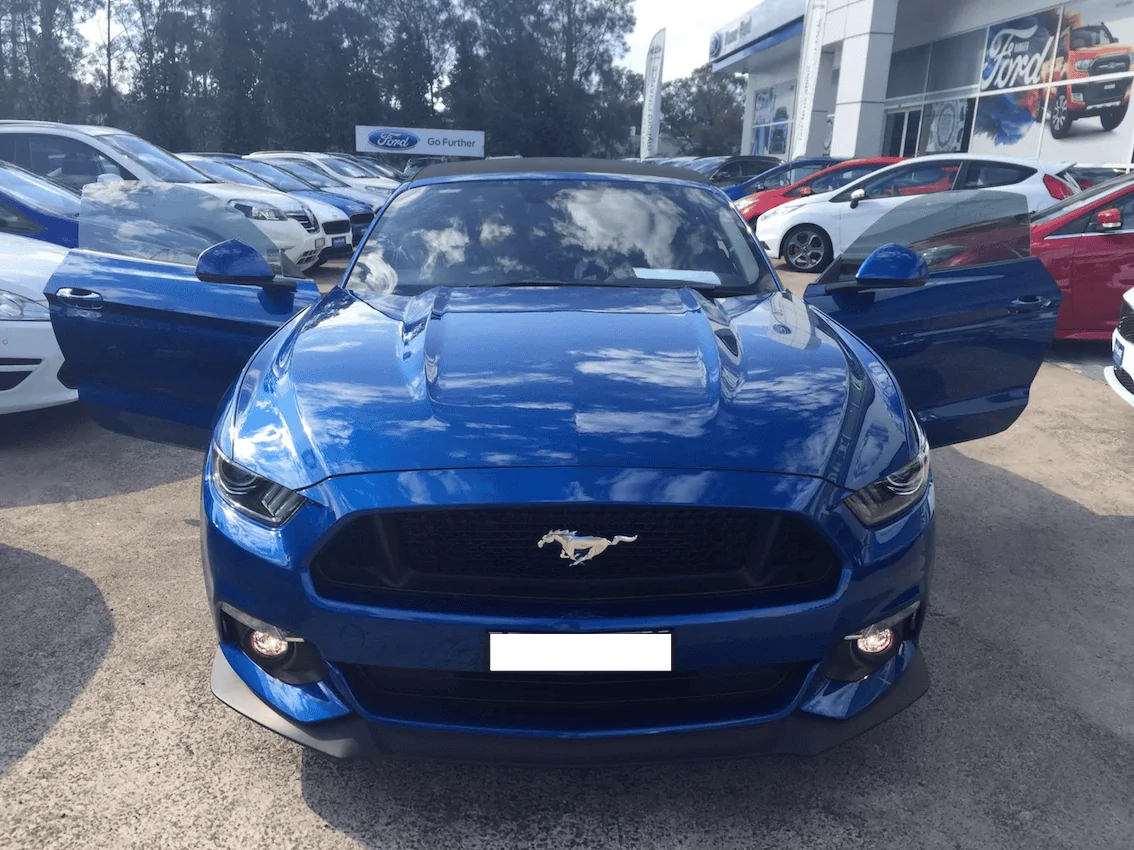 Mustang.webp