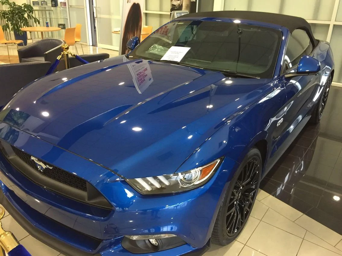 Mustang2.webp