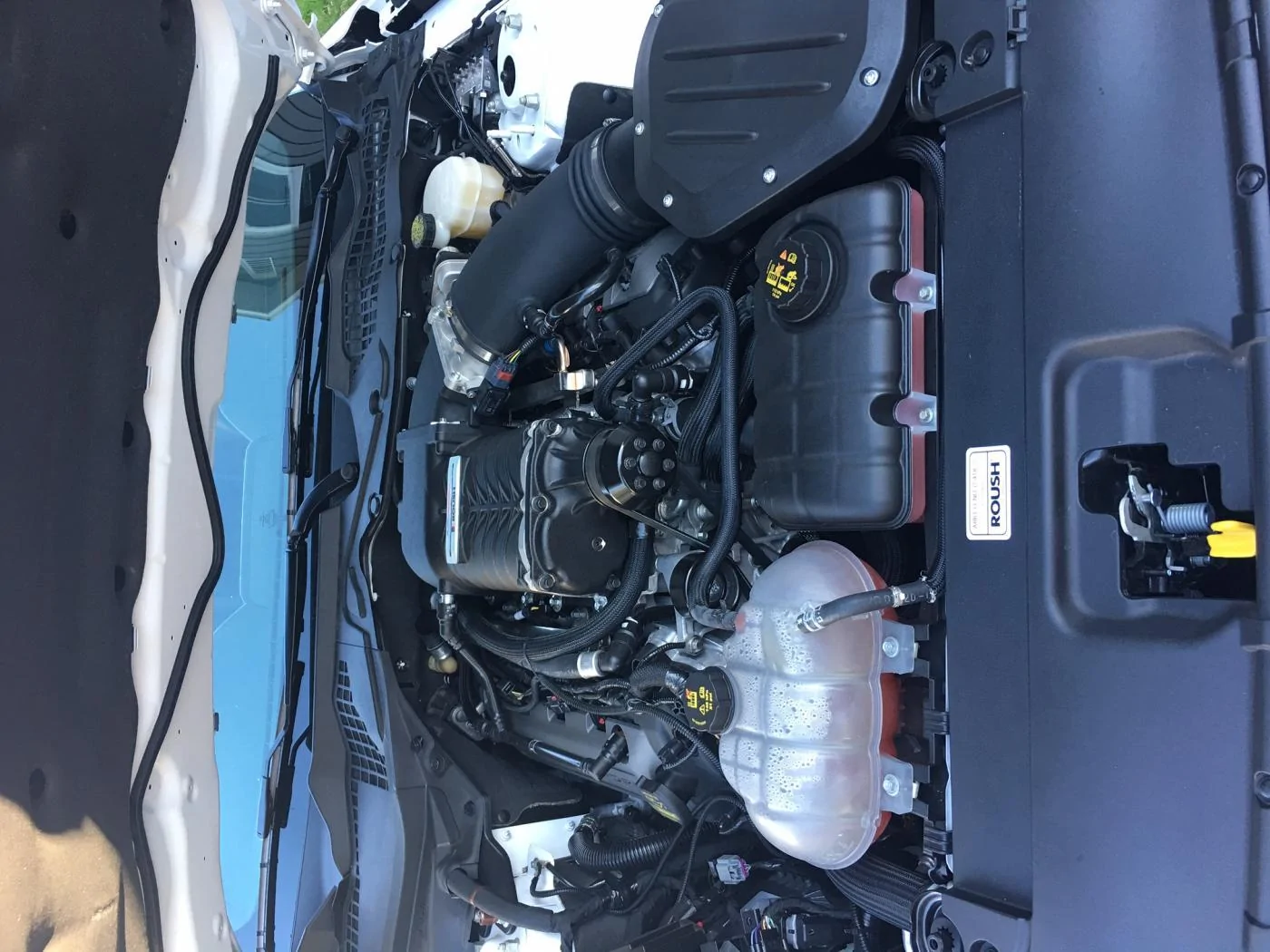 image1.webp