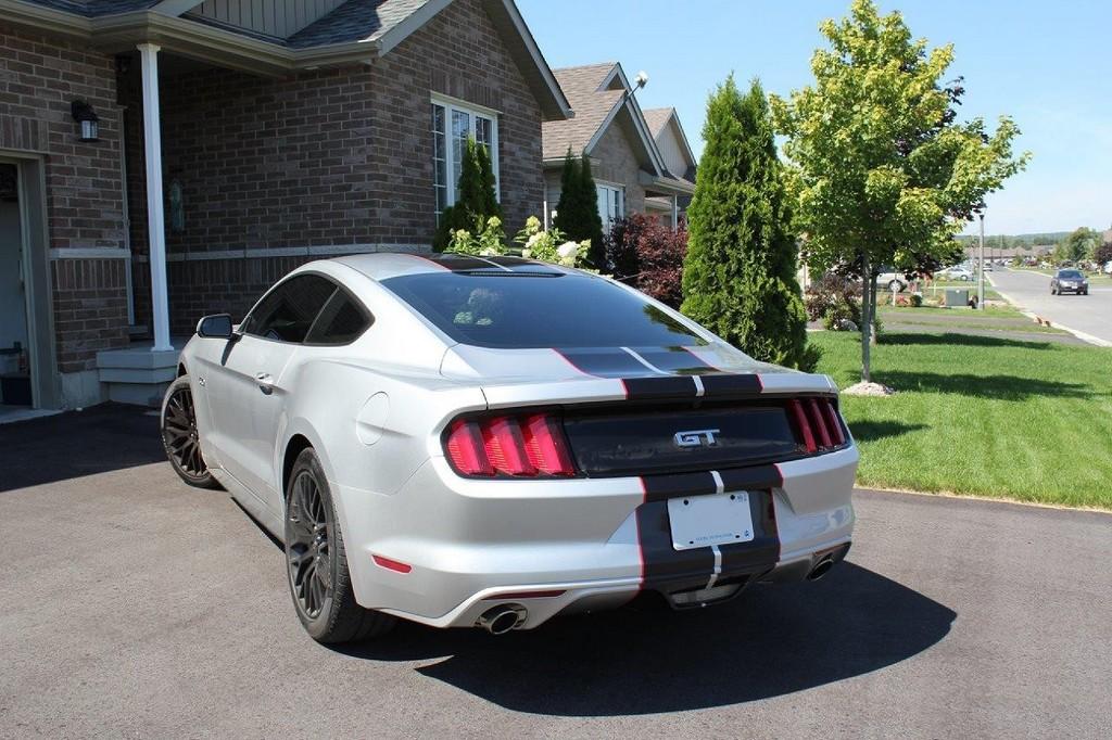 IMG_3220plate.jpg