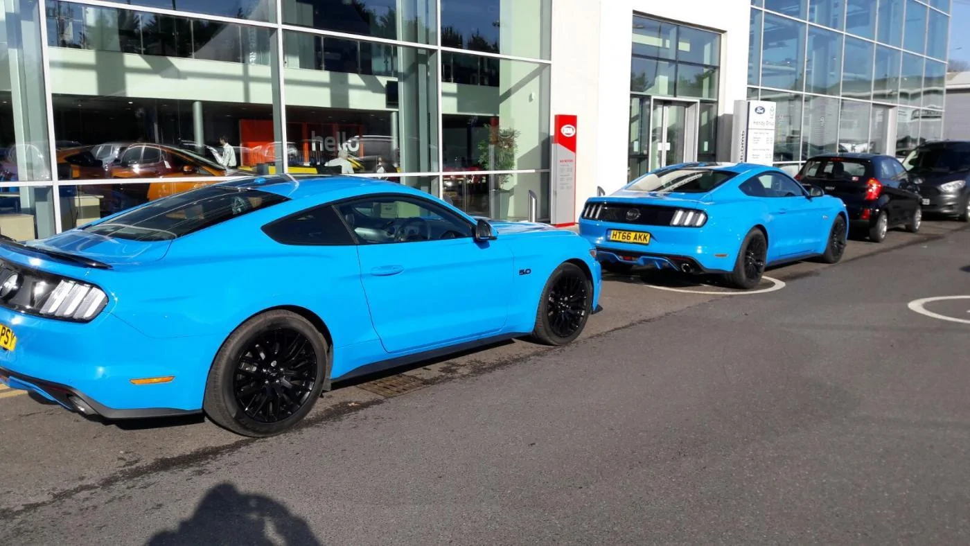 Mustangs at Ford Eastleigh.webp