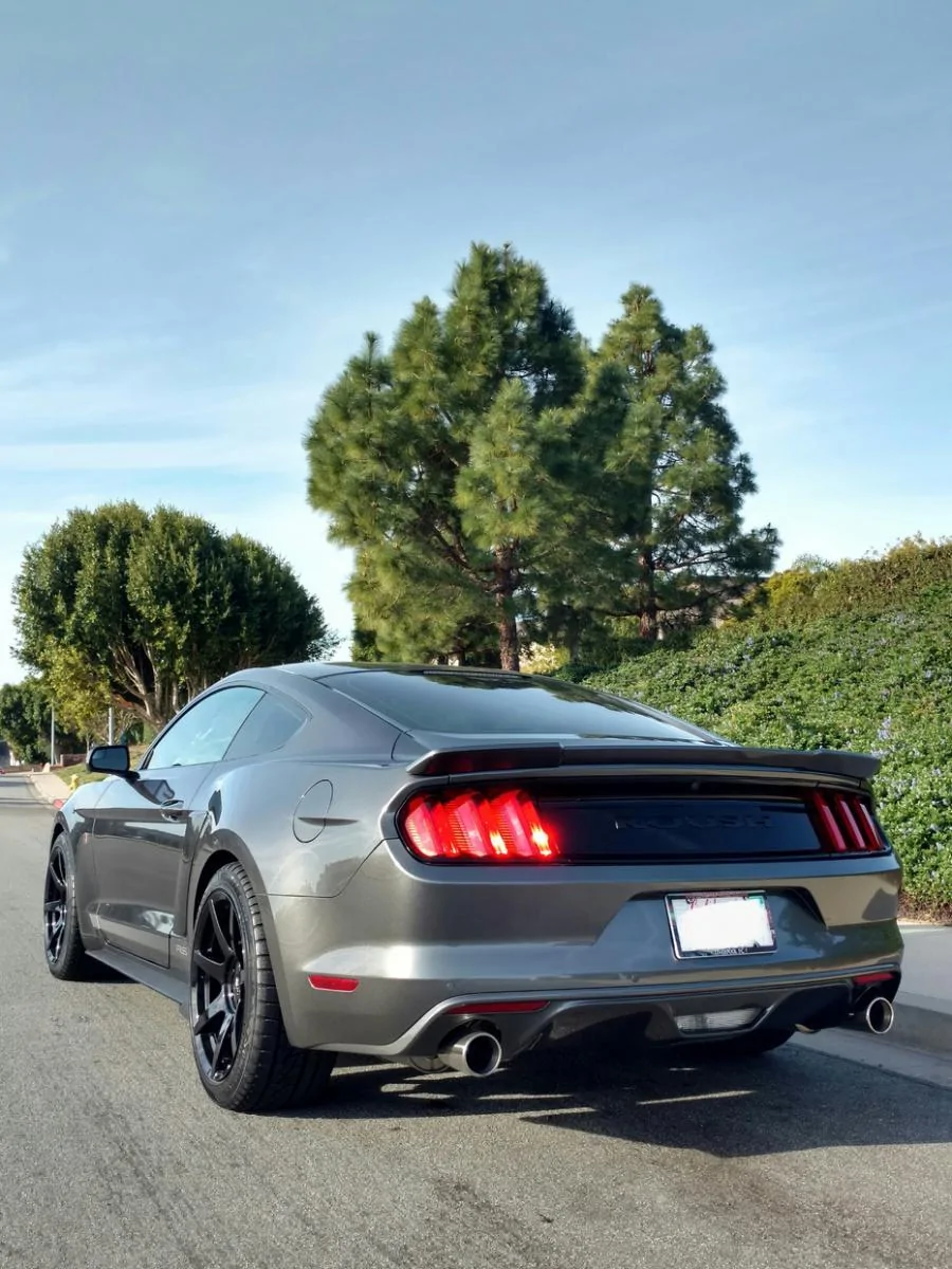 kx54iqd (1).webp