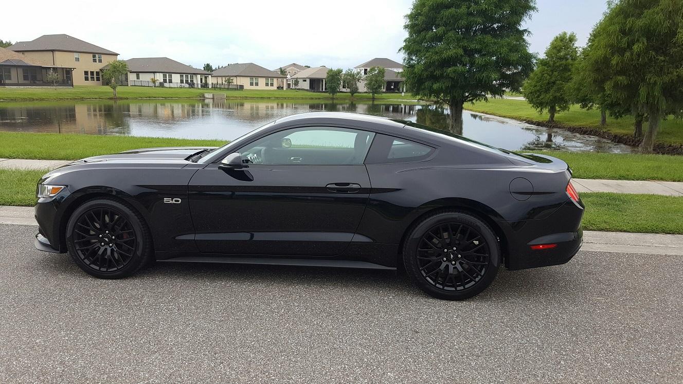 Mustang4.jpg