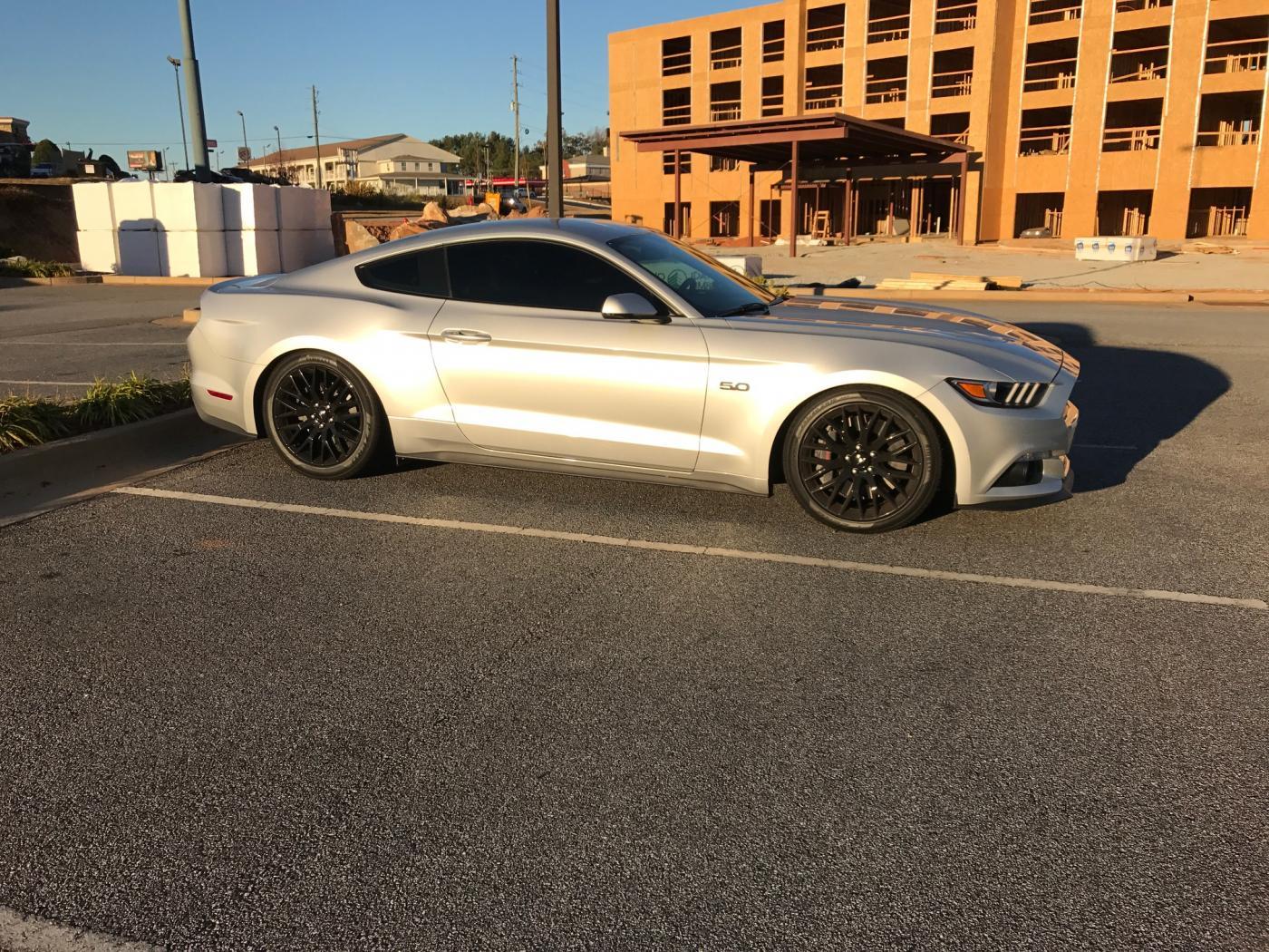 mustang.jpg