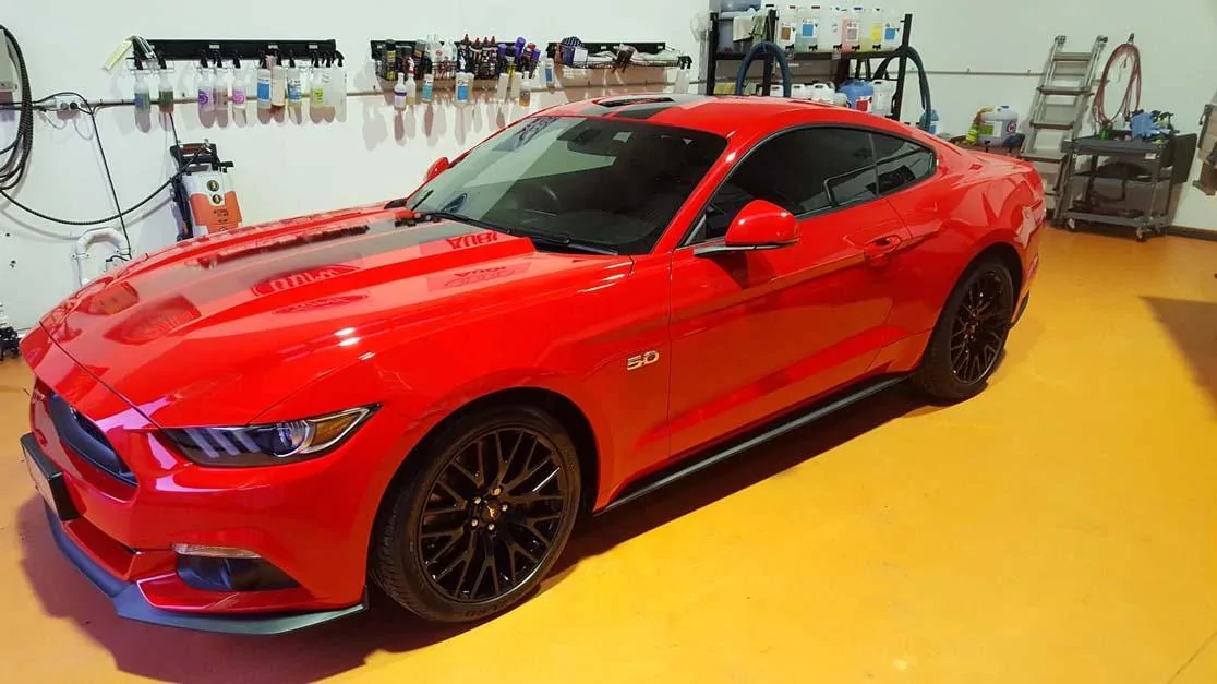 mustang forum copy.webp