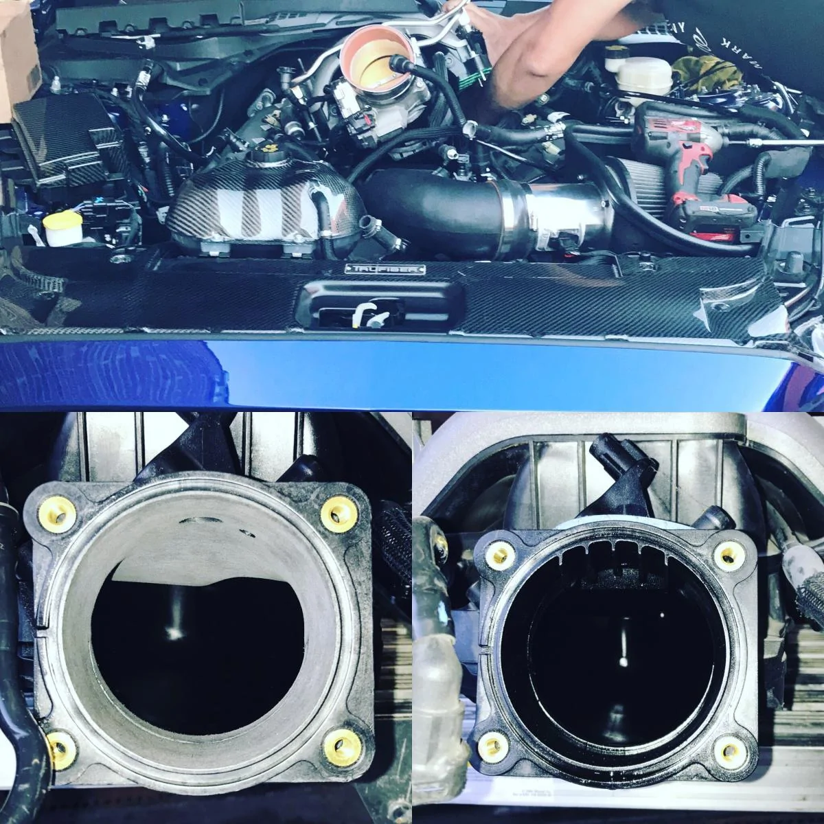 IMG_4339.webp
