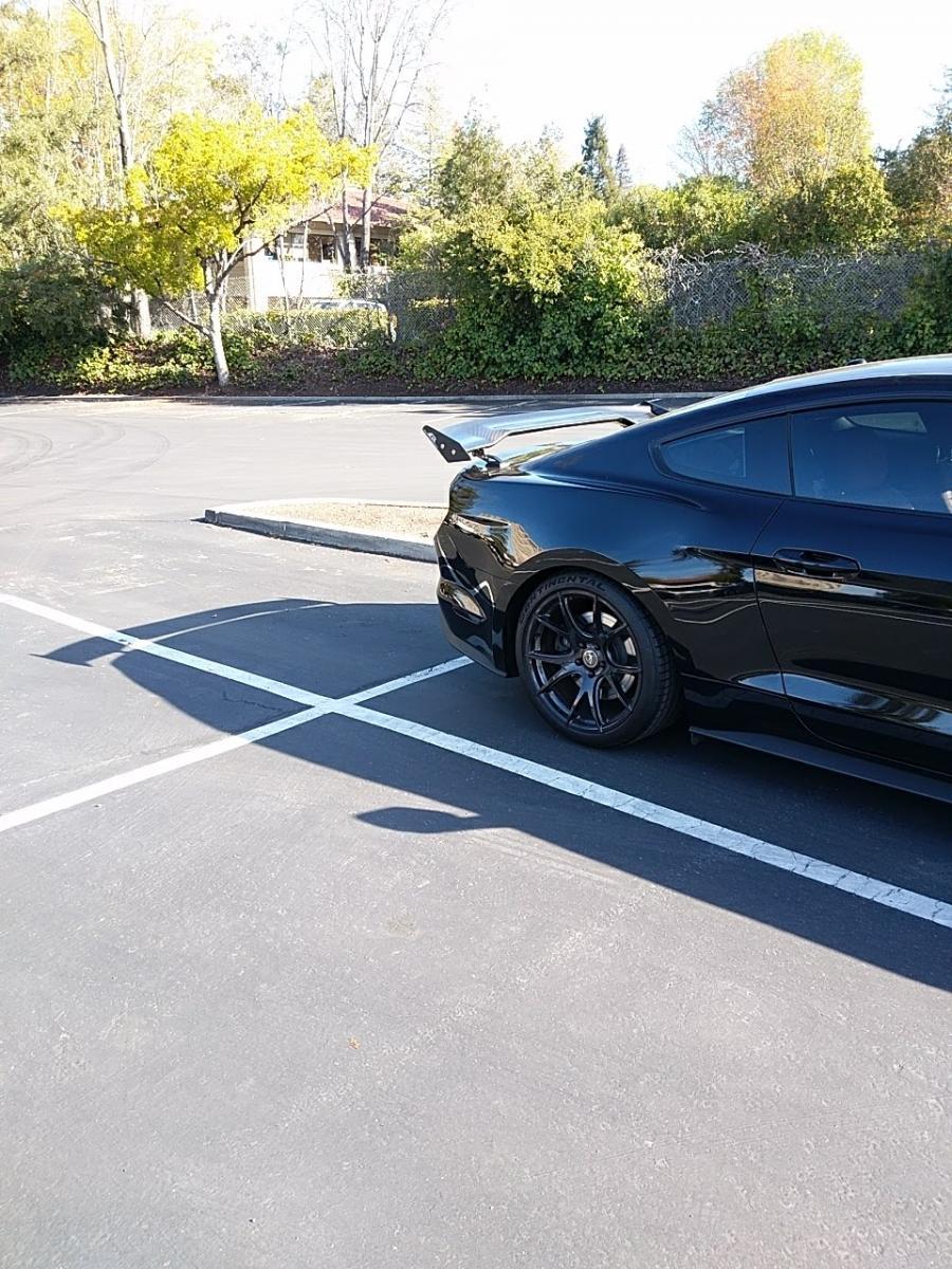 IMG_20161220_123942.jpg