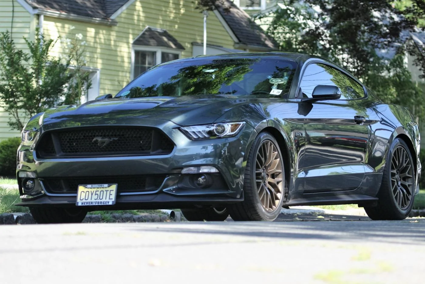 mustang.webp