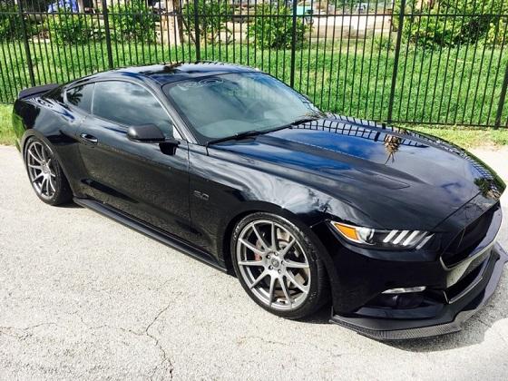 Stang 2.jpg