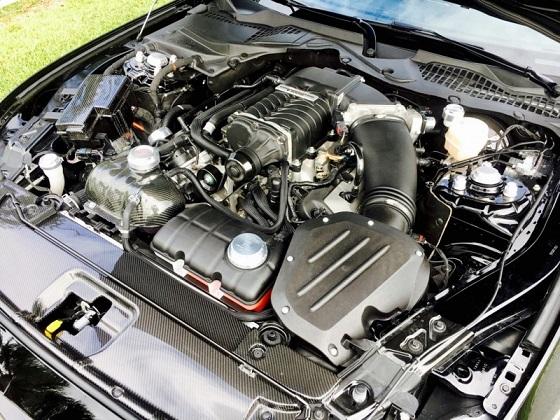Stang 3.jpg