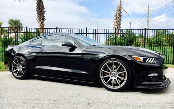 Stang 5.jpg
