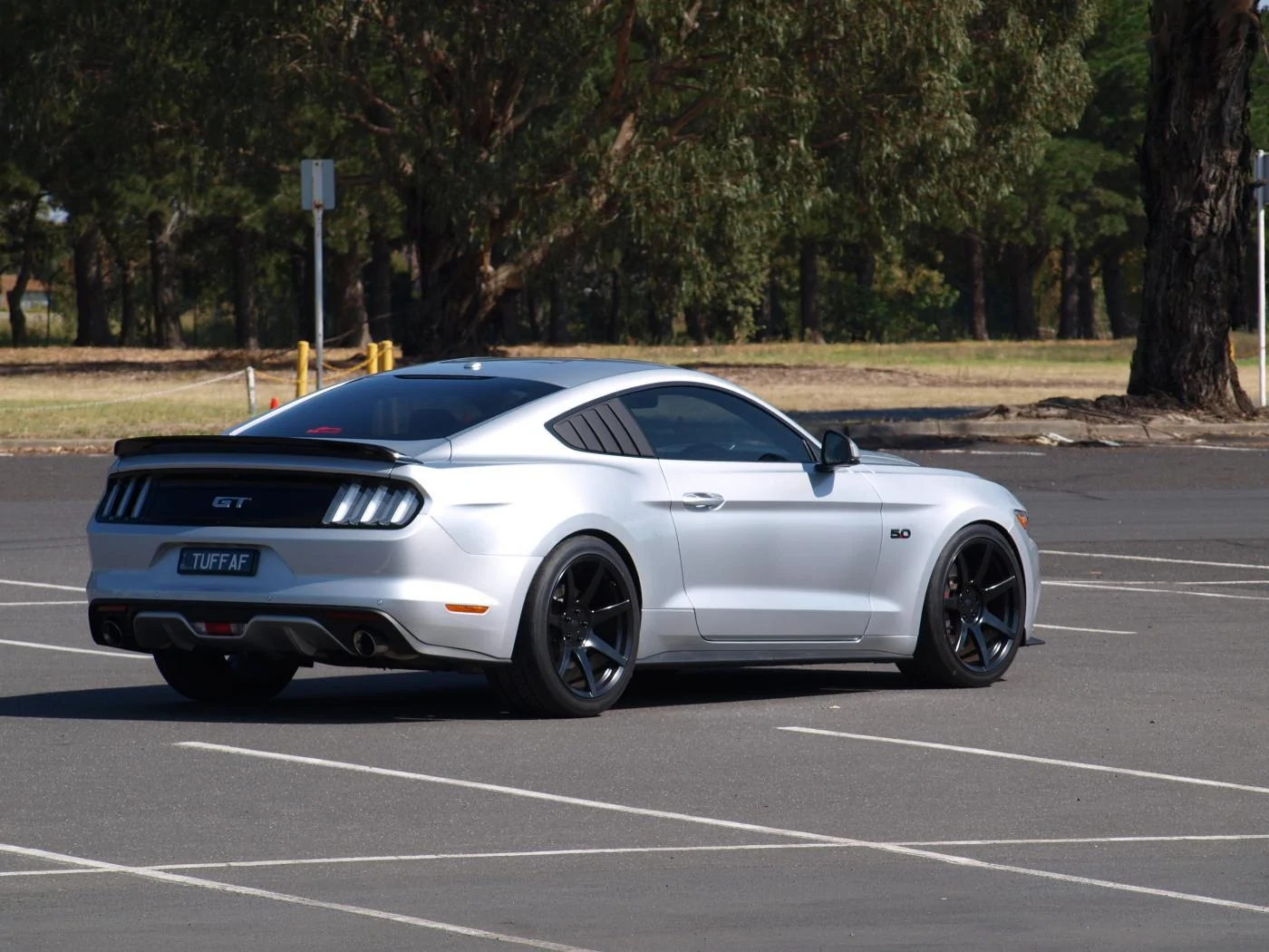 P3133764.webp