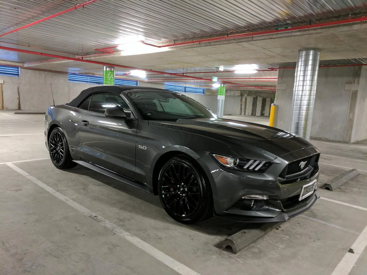 stang.webp