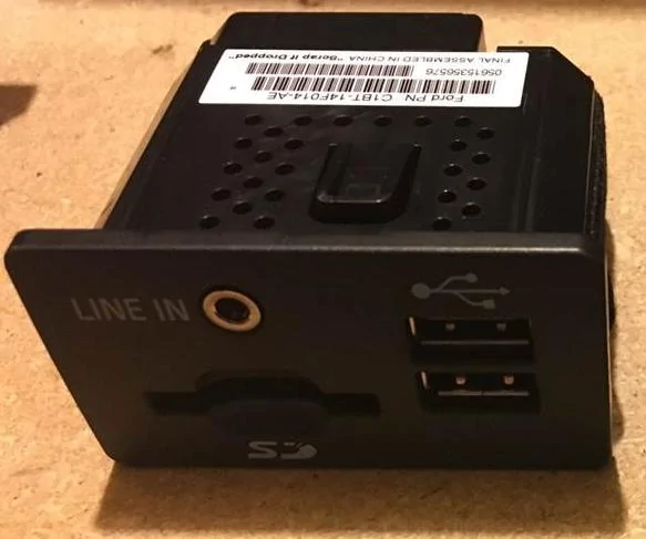 Mustang - Multimedia Module 1.webp