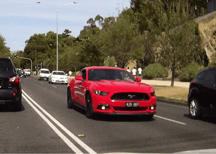 stang2.webp