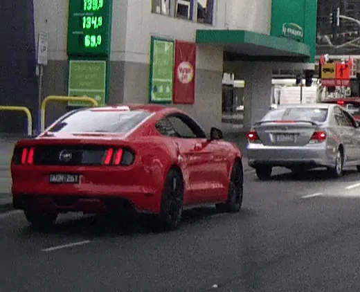 stang1.webp