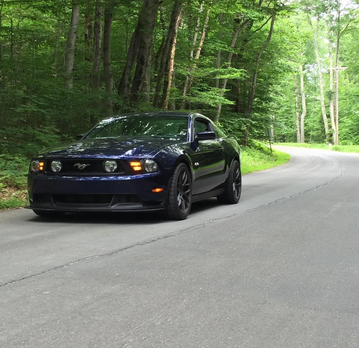 1 Mustang - summer.webp