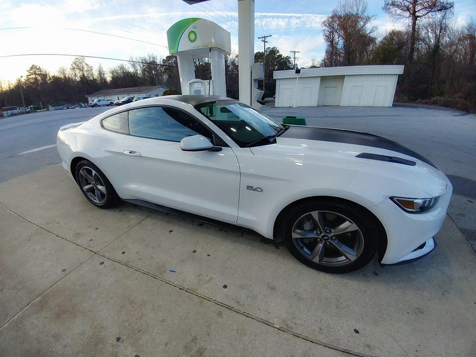 stang.jpg