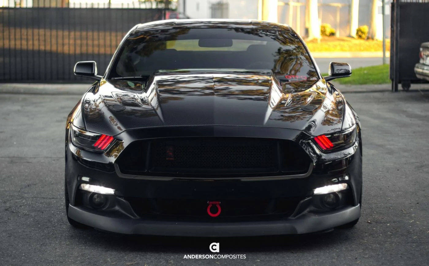 _MG_5072-Edit.webp