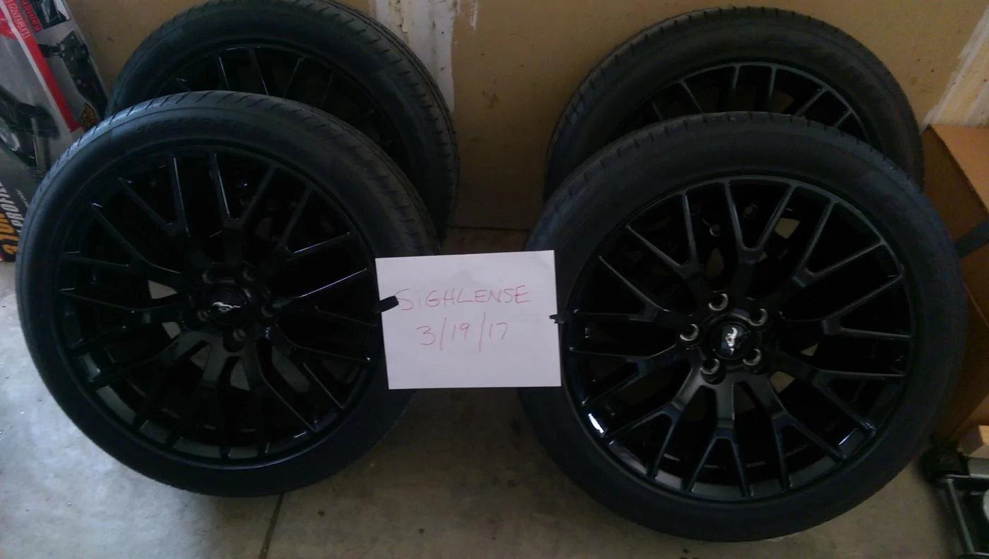 IMAG1043.webp