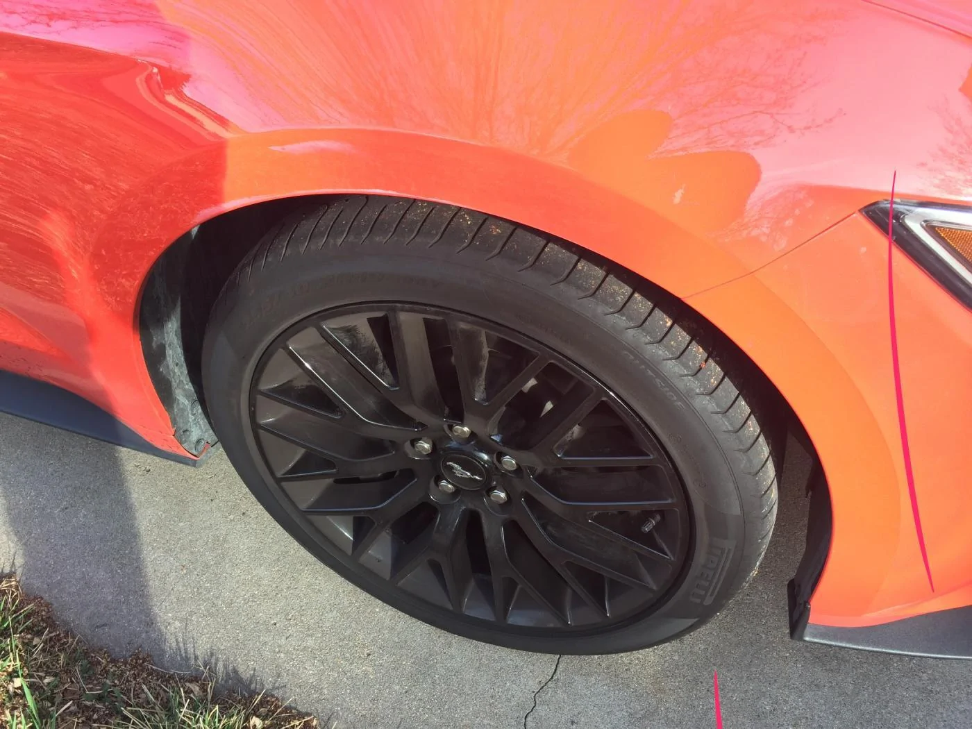 image1.webp