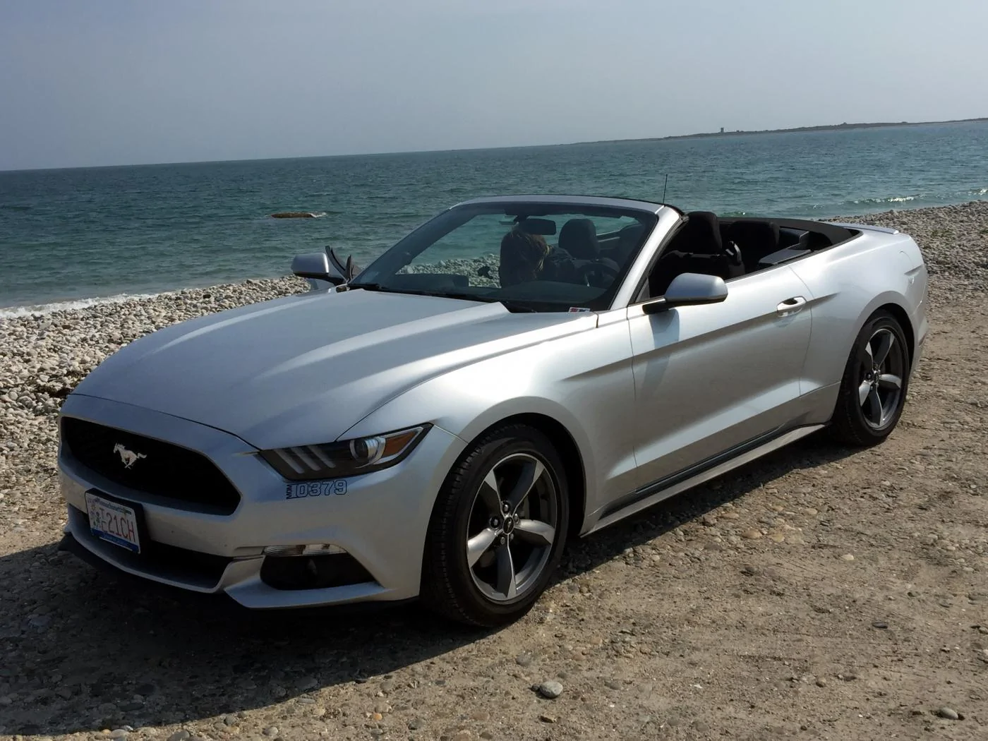mustang horse neck 3.webp