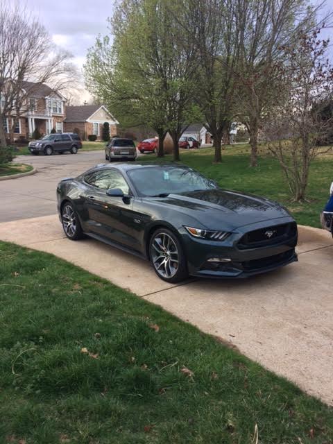 New Mustang.jpg