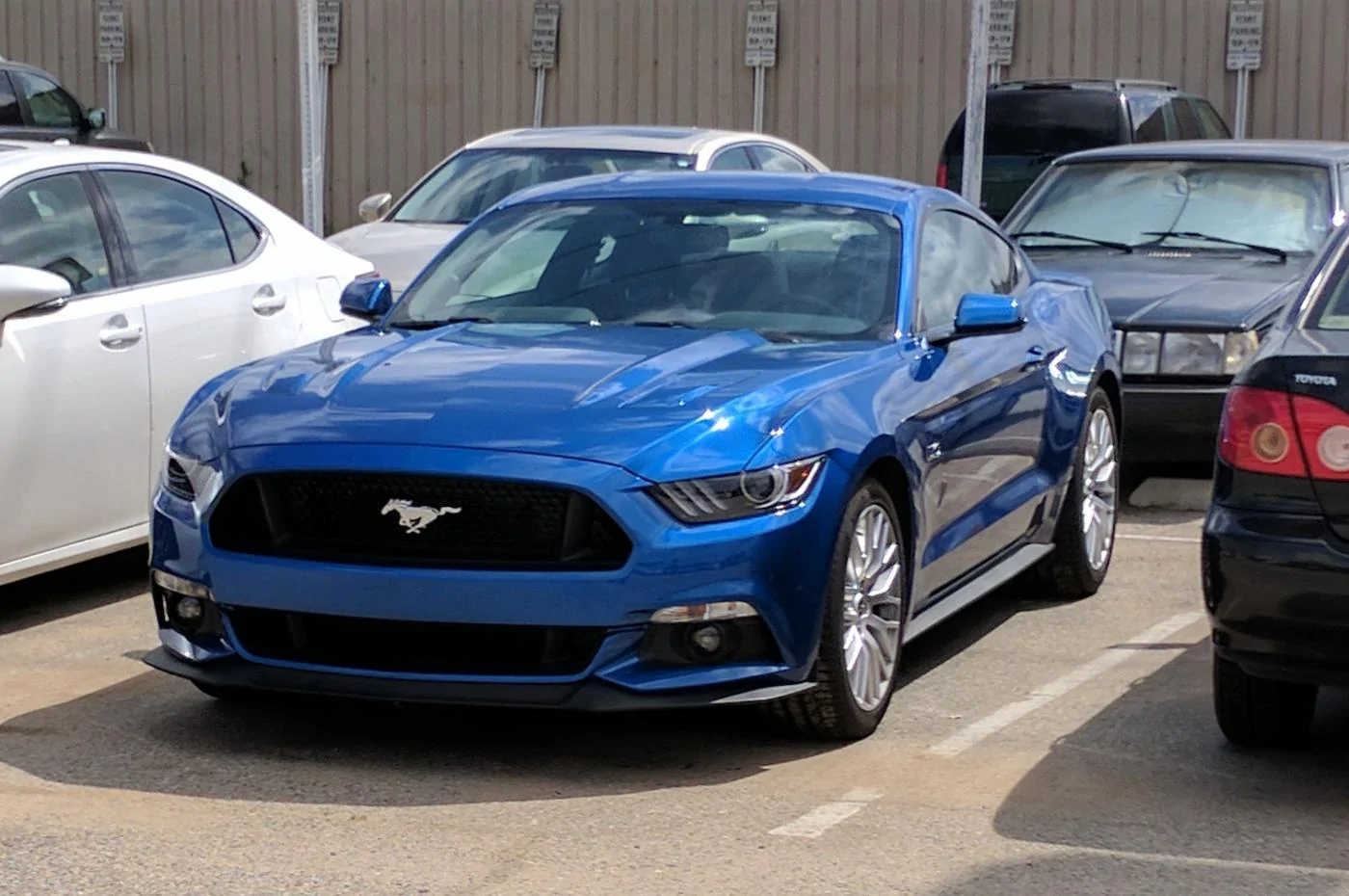 mustangatcommerce.webp