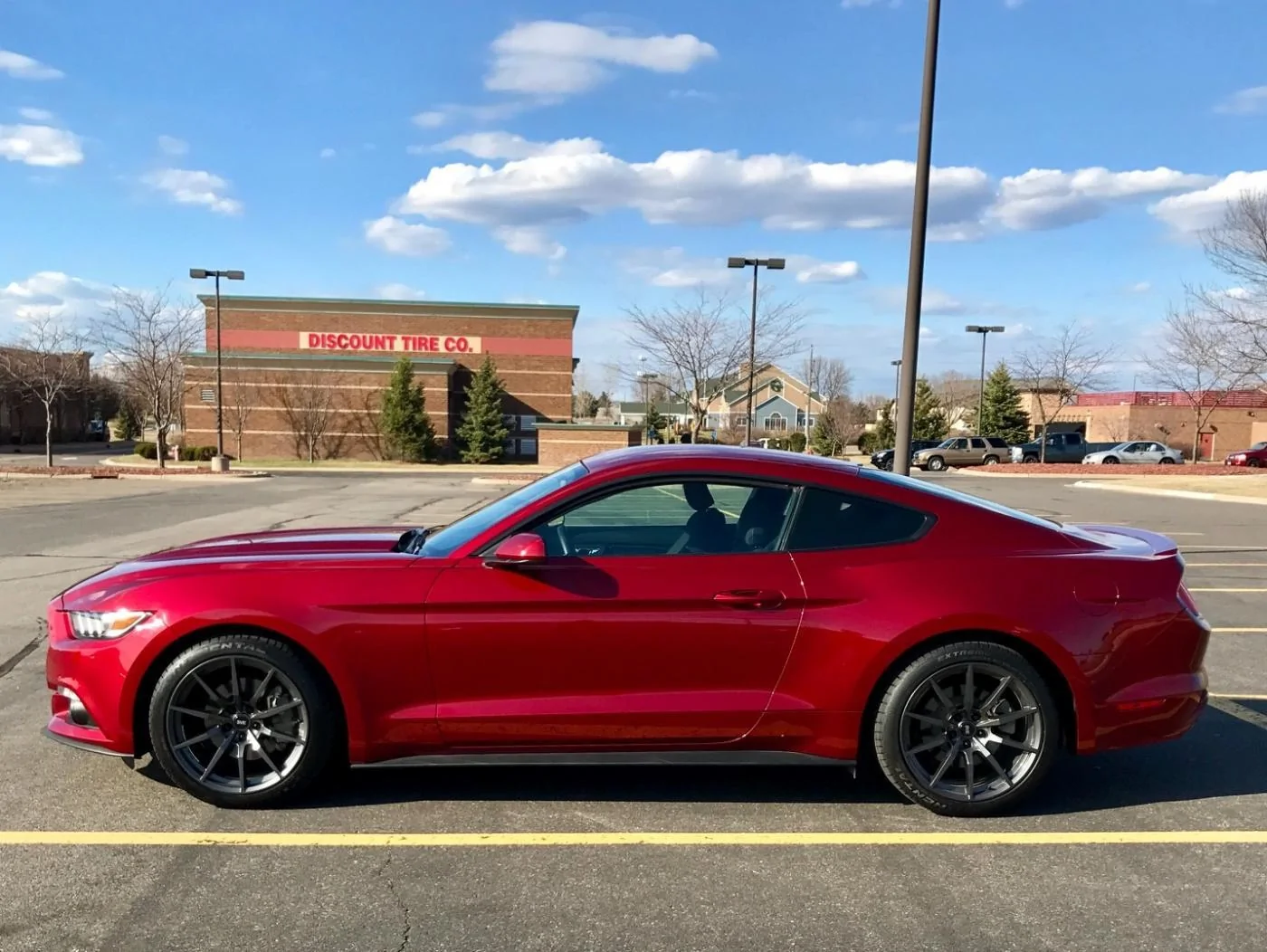 Mustangin.webp