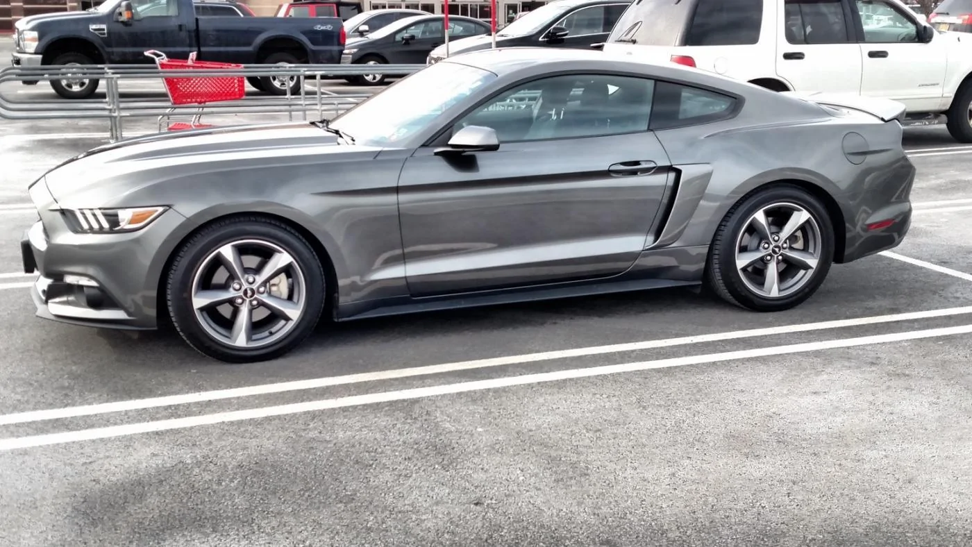 mustang6.webp