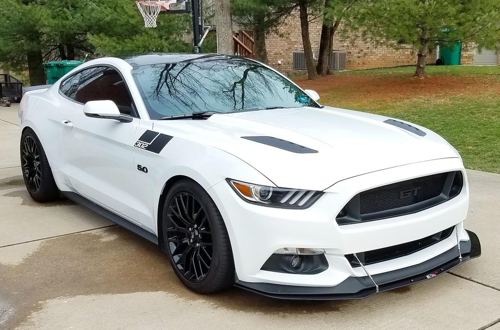 Mustang.jpg