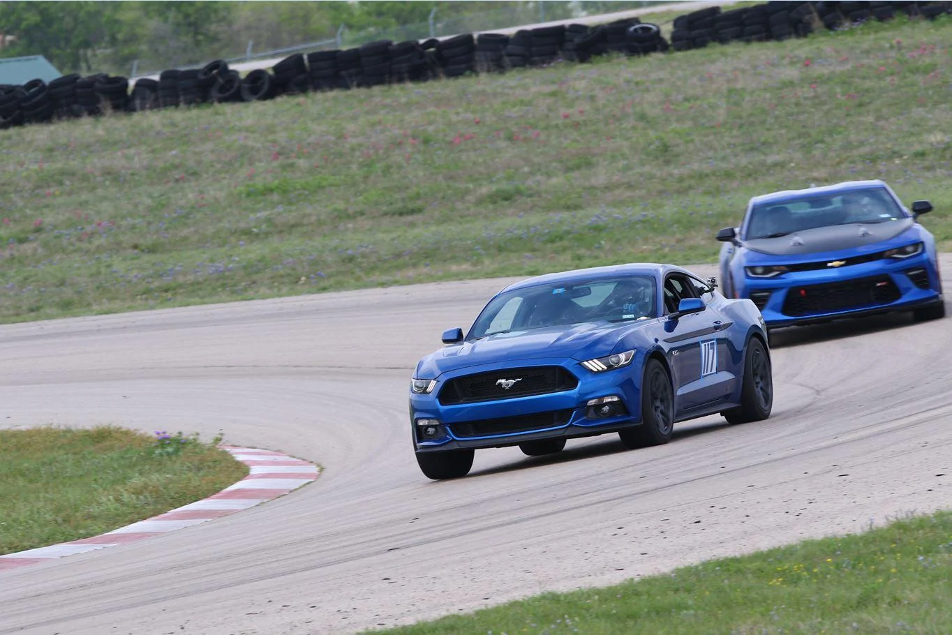 Track pic 2.webp