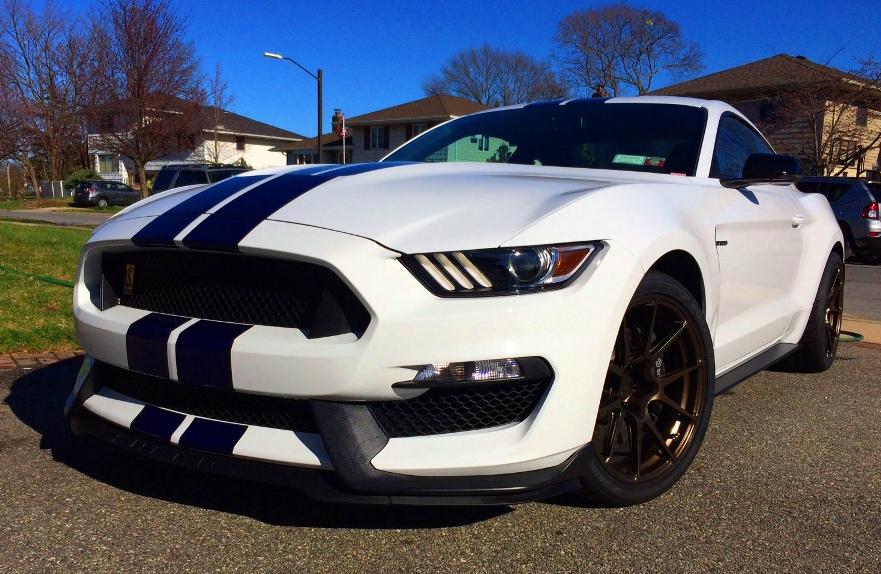 shelby cleaned-2 2017.jpg